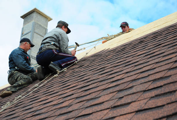 Best Roof Repair Services  in Cartervle, IL